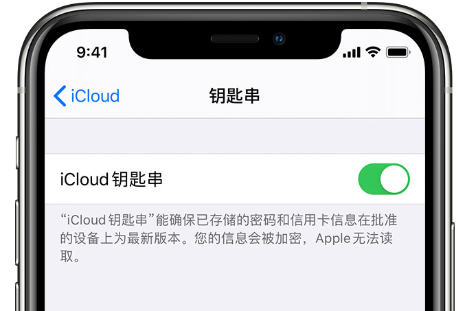 在 iPhone 上开启 iCloud 钥匙串之后会储存哪些信息？